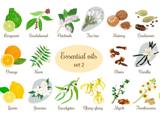 Essential Oils 101 Guide